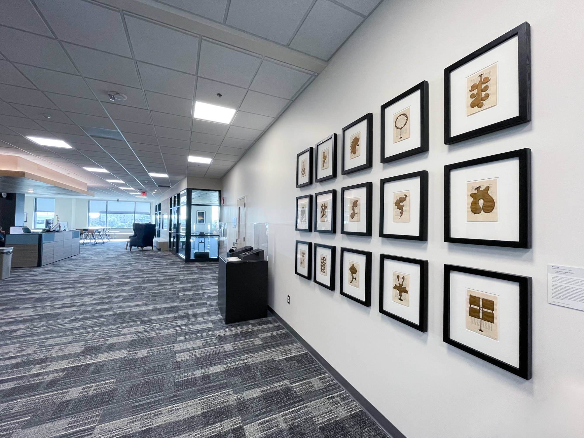 Photograph of the installation of a series of prints by artist Tim Rollins and K.O.S.